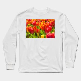 Mass of Tulips Long Sleeve T-Shirt